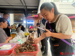 行进中国丨“旧日难出山现在菌子销全国”